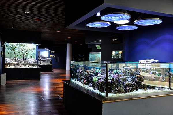 新潟市水族館マリンピア日本海