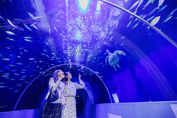 もぐらんぴあ水族館