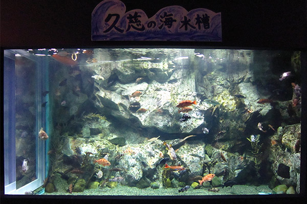 もぐらんぴあ水族館