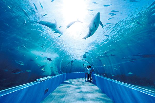 のとじま水族館
