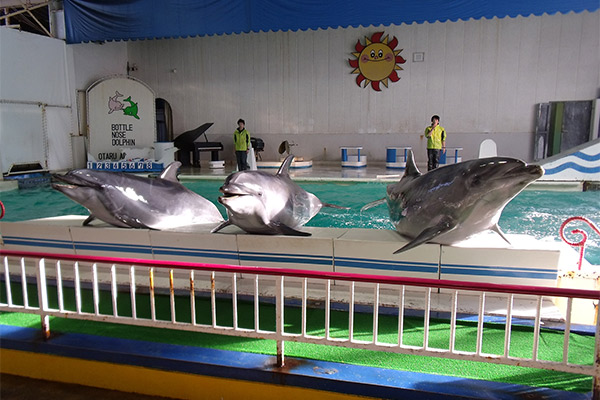 おたる水族館