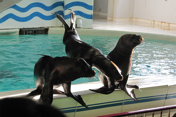 おたる水族館