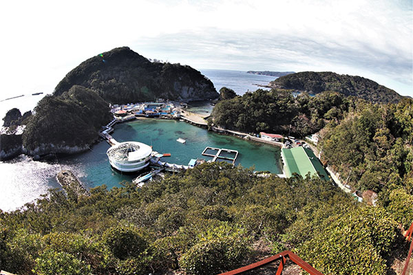 下田海中水族館