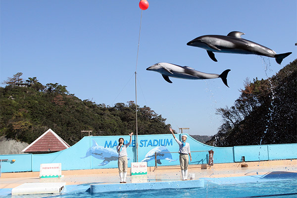 下田海中水族館