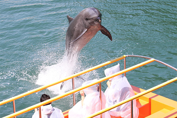 下田海中水族館