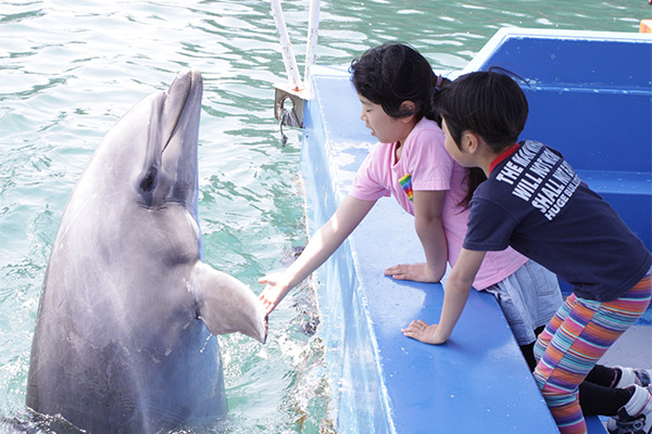 下田海中水族館