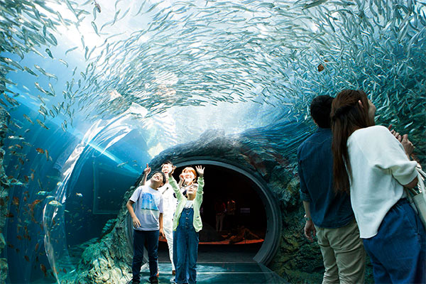 上越市立水族博物館 うみがたり