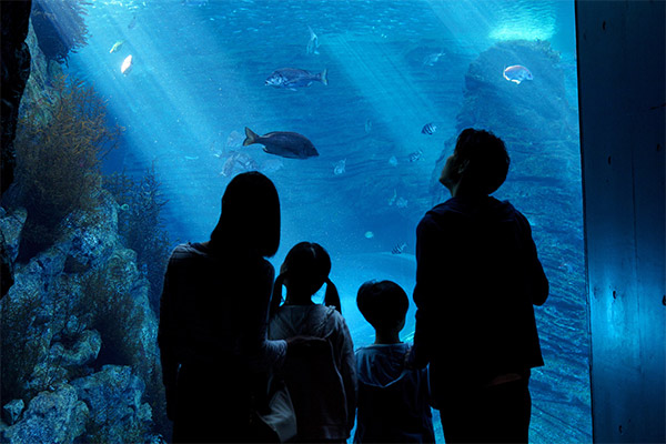 上越市立水族博物館 うみがたり
