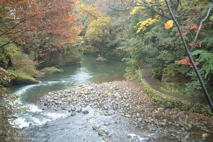 山中温泉　白鷺湯たわらや