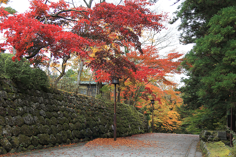 日光東照宮の紅葉
