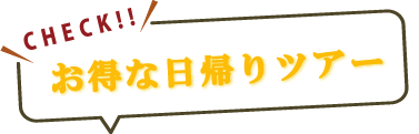 お得な日帰りツアー
