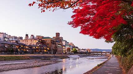 京都・秋の鴨川と紅葉