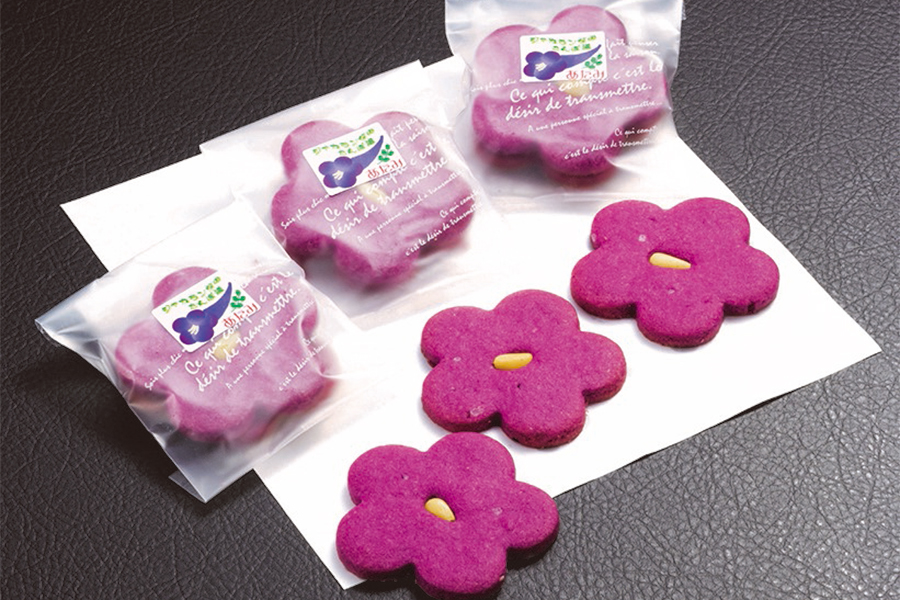 ジャカランダのさんぽ道