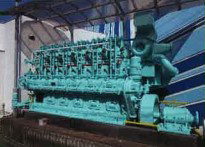 琴平海洋博物館