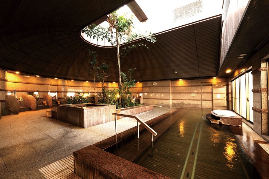 大観荘せなみの湯