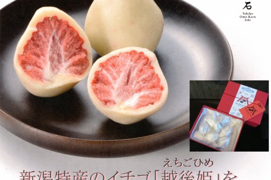 玉兎　糸屋　越後姫チョコ