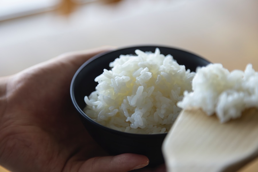 SHONAI HOTEL SUIDEN TERRASSE