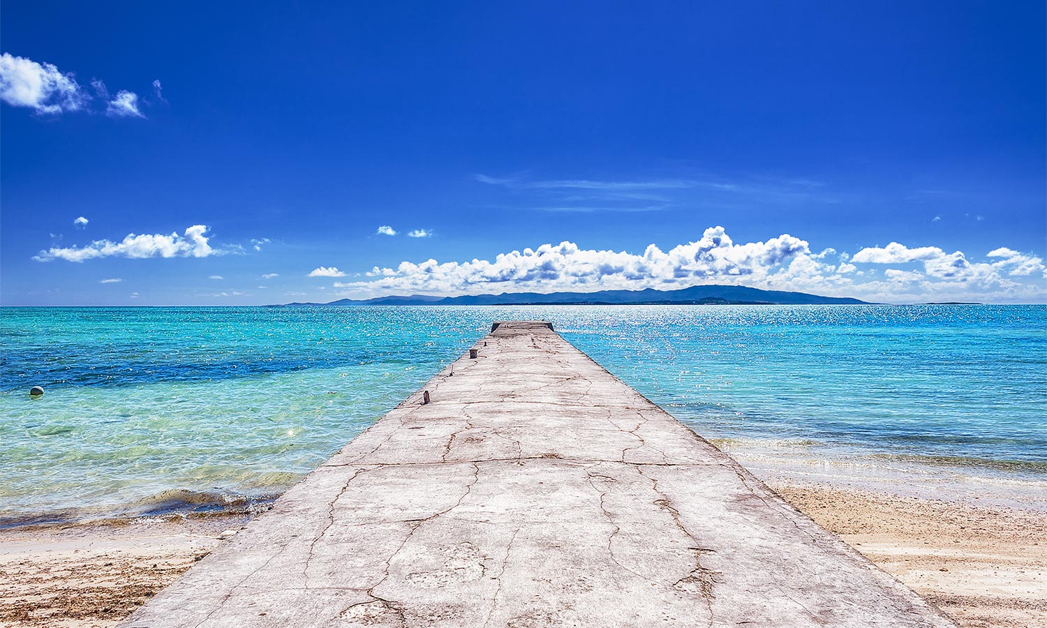 GOGO 家族で夏旅！