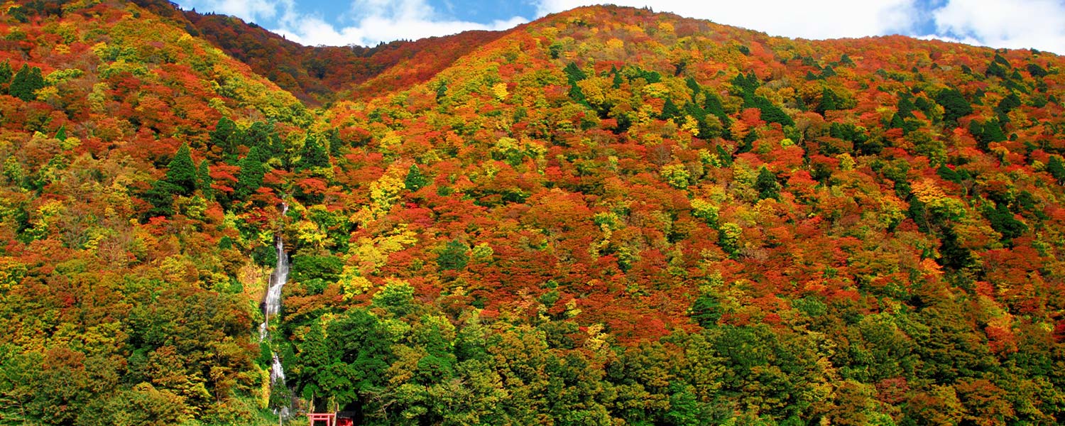 山形県に泊まろう！キャンペーン
