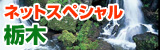 �l�b�g�X�y�V�����Ȗ�