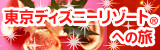 �����f�B�Y�j�[���]�[�g�ւ̗�