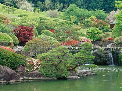 緑葉が美しい日本庭園慧洲園の写真