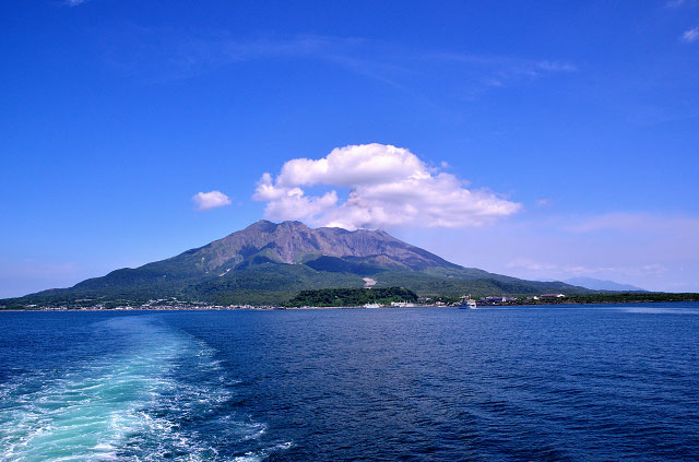 トリパ