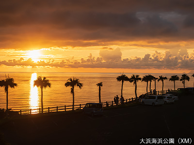 大浜海浜公園