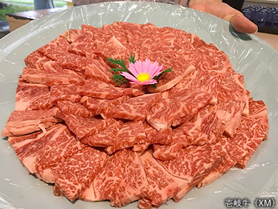 壱岐牛
