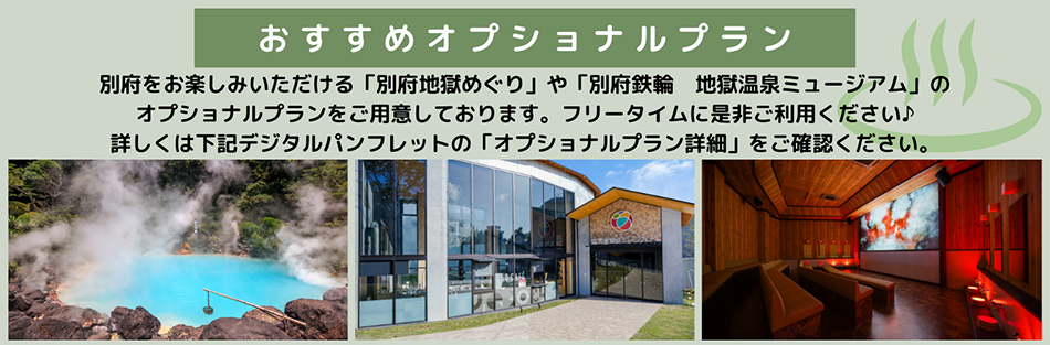 おすすめオプショナルプラン