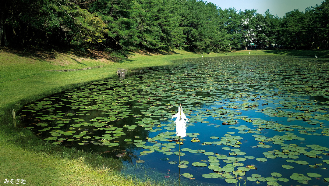 みそぎ池