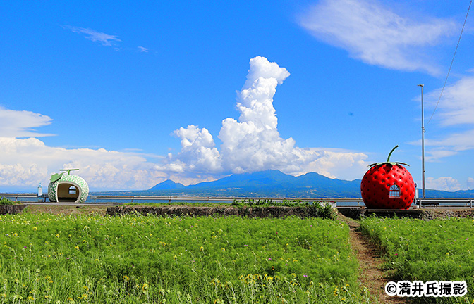 フルーツバス停
