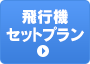 飛行機セットプラン