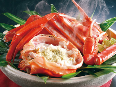 6/1�`6/30�A9/7�`9/30���[�H���