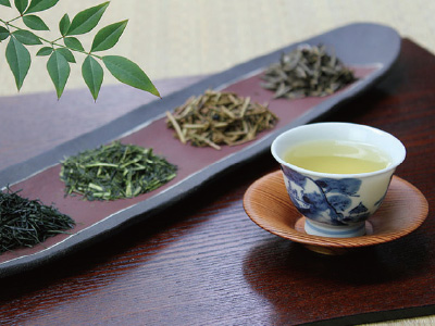 土山茶・朝宮茶