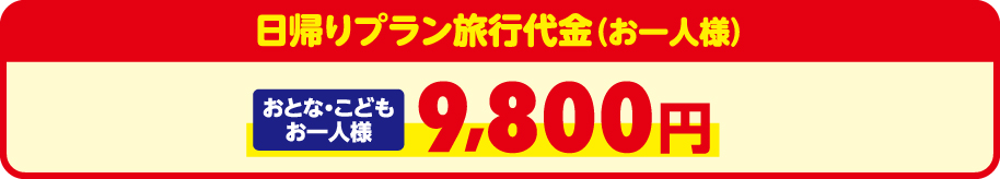 日帰りプラン旅行代金（お一人様）