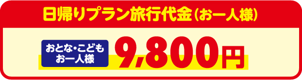 日帰りプラン旅行代金（お一人様）