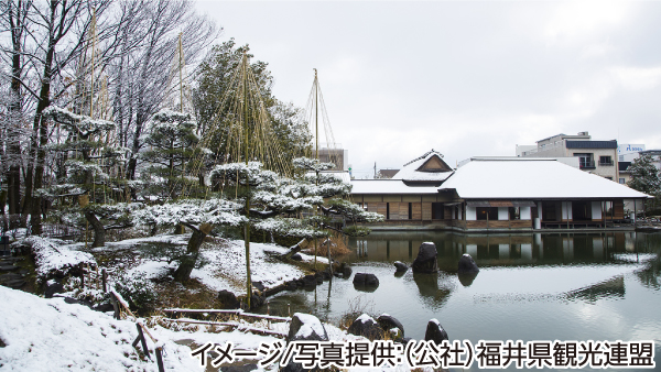 イメージ/写真提供：（公社）福井県観光連盟