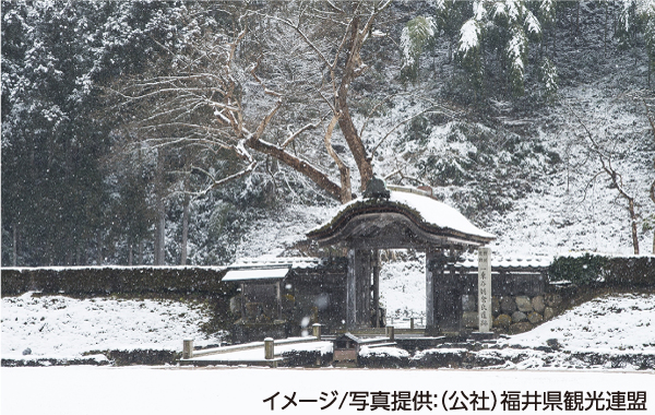 イメージ/写真提供：（公社）福井県観光連盟