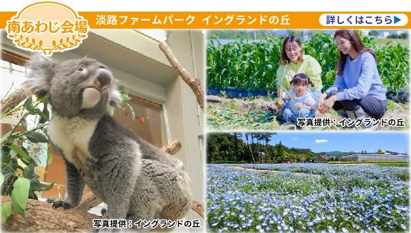 南あわじ会場