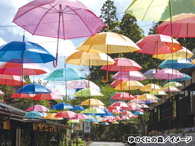 ECO乗りクーポン