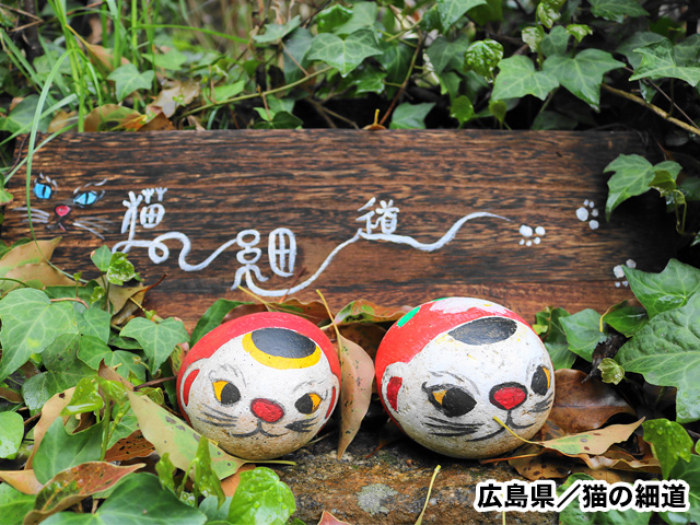 猫の細道