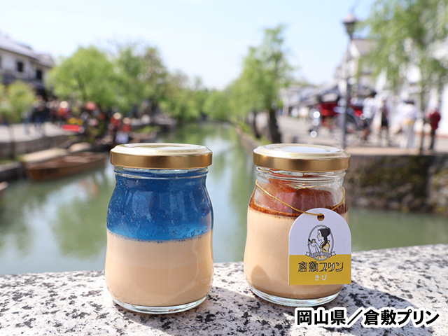 倉敷プリン