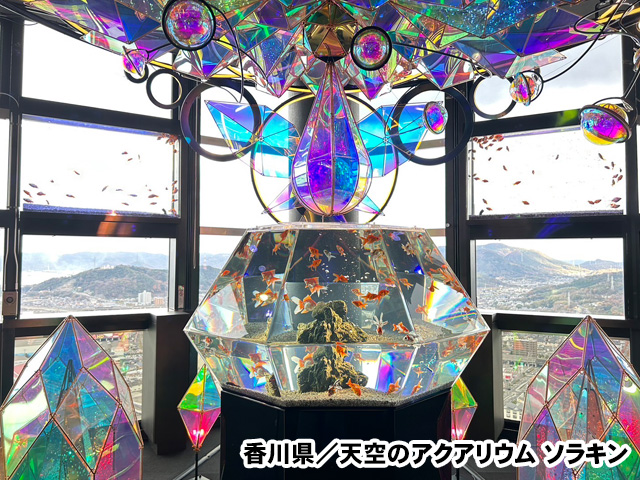 天空のアクアリウム ソラキン