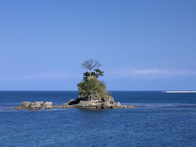 国定公園 雨晴海岸