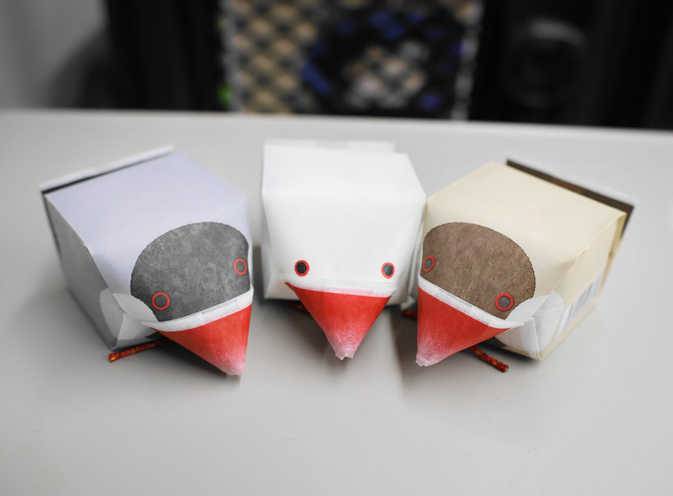 金澤文鳥