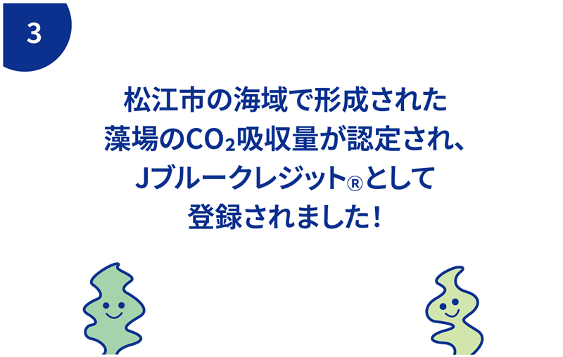 松江市の海域で形成された藻場のCO²吸収量が認定され、JブルークレジットⓇとして登録されました！