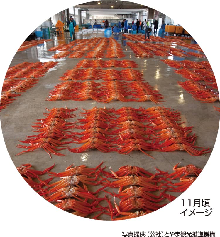 新湊漁港