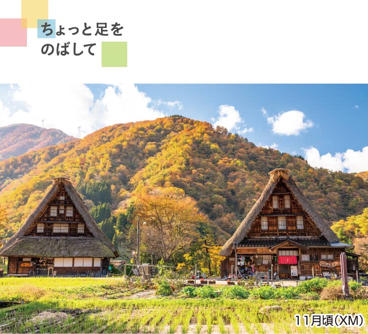 世界遺産 五箇山 合掌造り集落