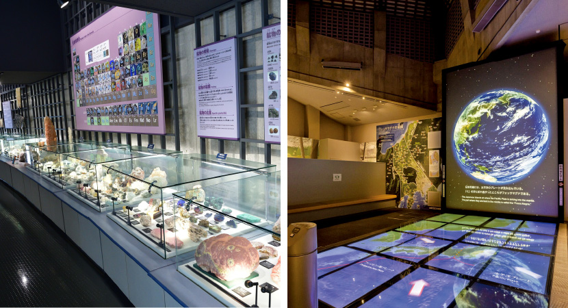 フォッサマグナミュージアム